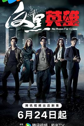 南屏seo优化价格